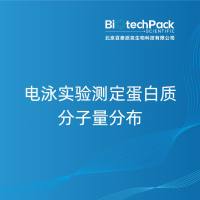 电泳实验测定蛋白质分子量分布