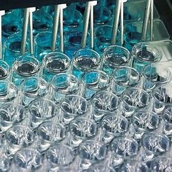 凝血酶原片段F1+2, Enzygnost F1+2微量法试剂盒