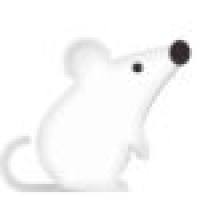 B16小鼠黑色素瘤人工肺移植模型