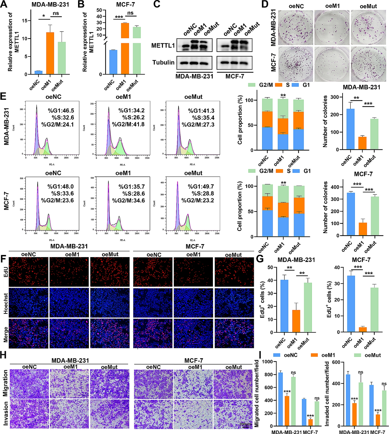IF=11.4 云序m7G tRNA MeRIP-Seq技术助力揭示tRNA m7G修饰在乳腺癌中的肿瘤抑制作用 - 企业动态 - 丁香通
