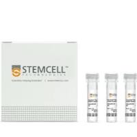 ImmunoCult™小鼠T细胞激活剂