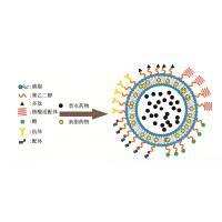 负载DHA的磁性脂质体