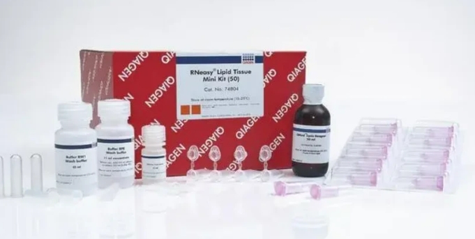 凯杰Qiagen探针试剂盒QuantiNova