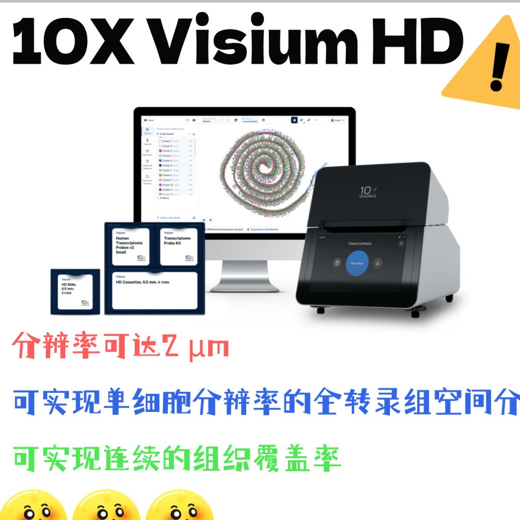 10X Genomics HD空间转录组测序