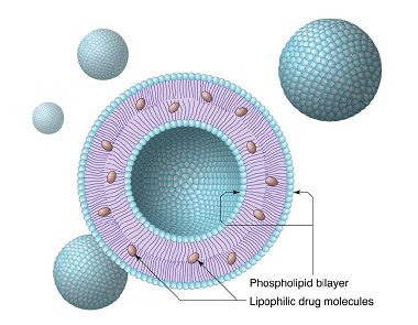 pH敏感磁性修饰的纳豆激酶磁靶向纳米给药脂质体