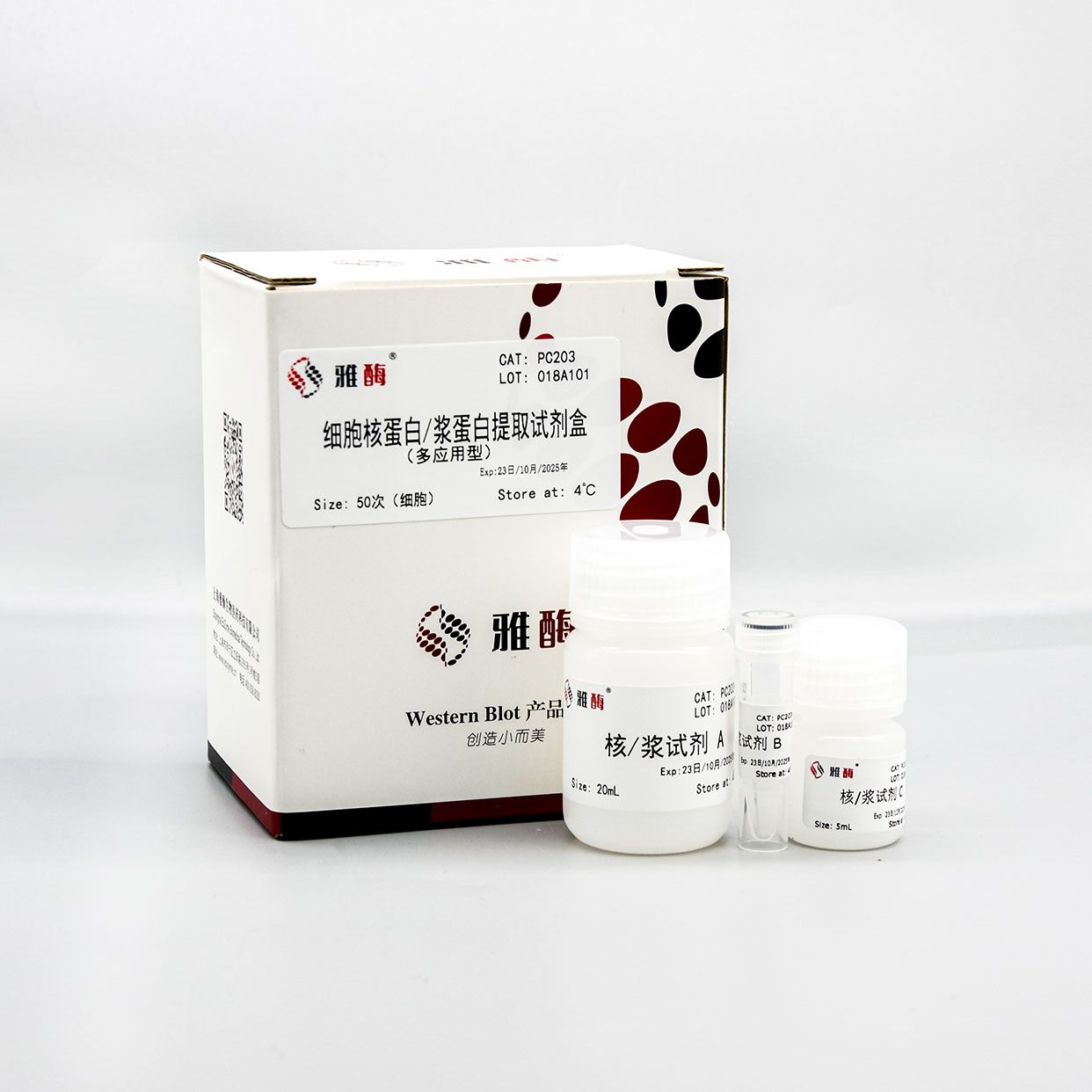 PC203 细胞核蛋白/浆蛋白提取试剂盒(多应用型)