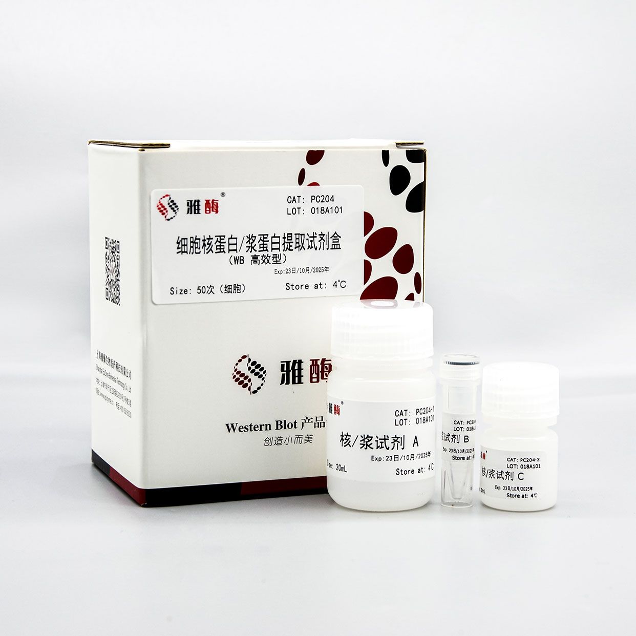 PC204 细胞核蛋白 / 浆蛋白提取试剂盒(WB 高效型)