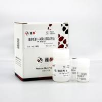 PC204 细胞核蛋白 / 浆蛋白提取试剂盒(WB 高效型)