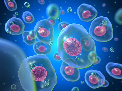 细胞复苏的奇迹悄然上演