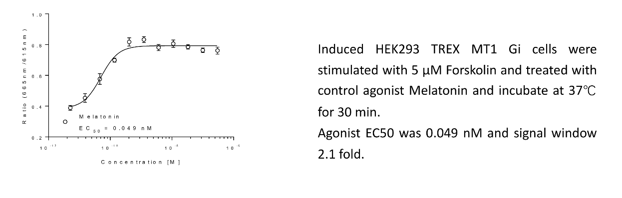 褪黑素受体MT:失眠与情绪障碍治疗的新靶点