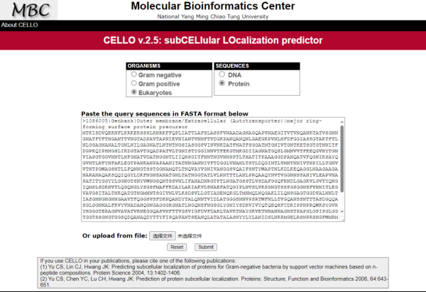 好不容易把蛋白挑选出来，老板问我这个蛋白的亚细胞定位-CELLO网站使用指南