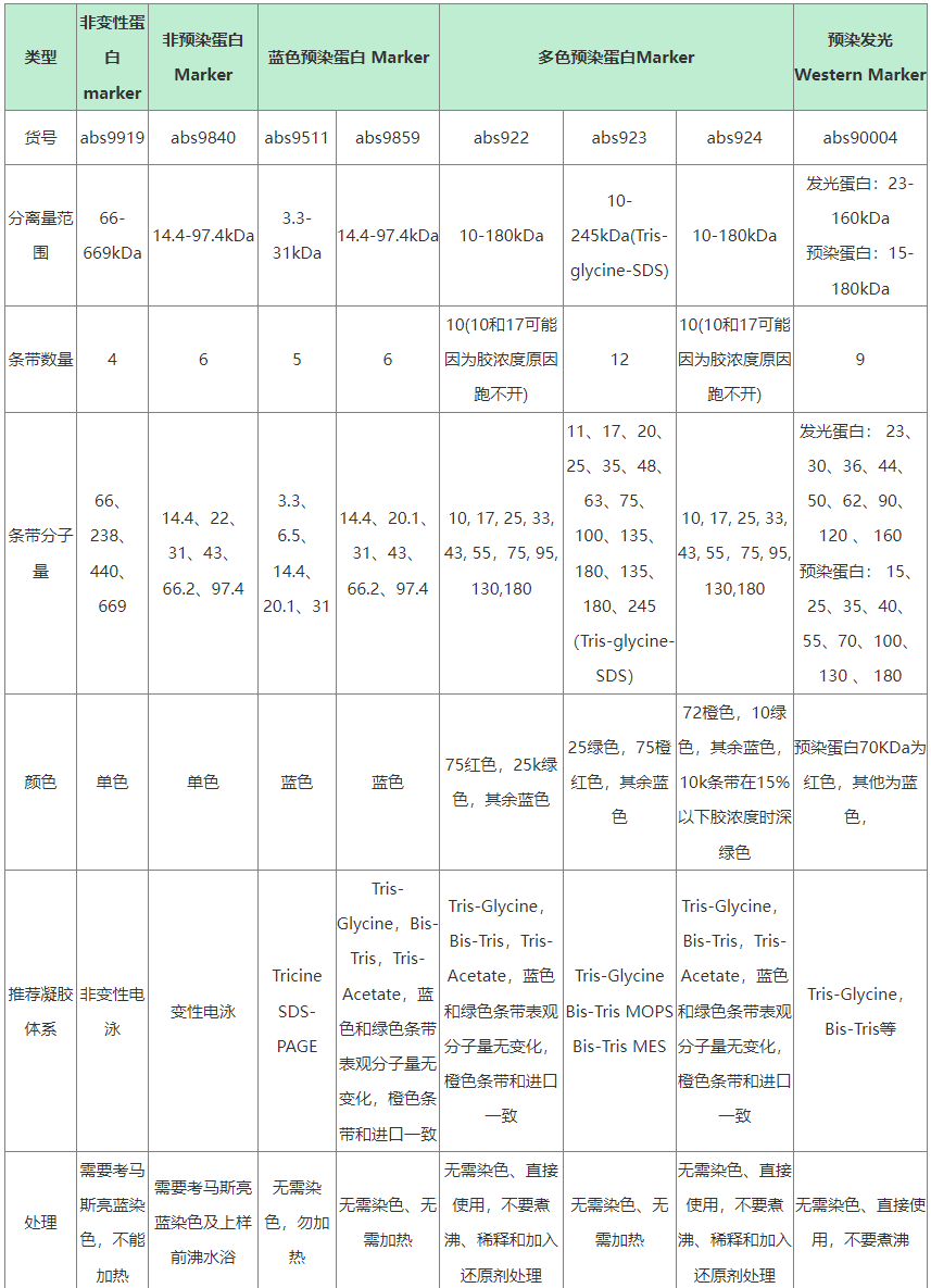 关于WB实验中的marker,你应该知道的事