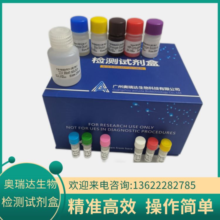 人免疫球蛋白G（IgG）ELISA检测试剂盒