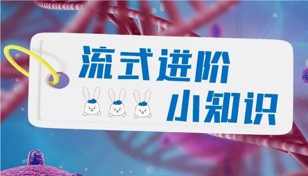 免疫细胞 | Th1/Th2细胞的功能及检测方法，建议收藏！