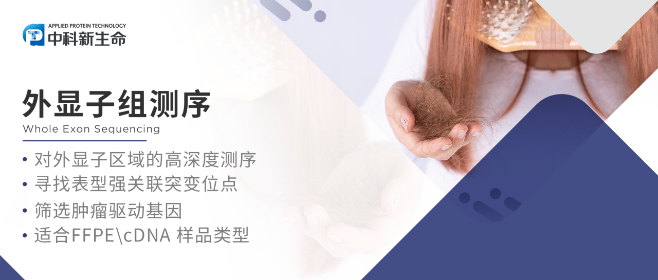 Nat Commun｜年纪轻轻，“秃”然面临脱发困扰？哥伦比亚大学研究揭示脱发关键基因