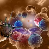 奥斯卡DIA棕榈酰化蛋白质组