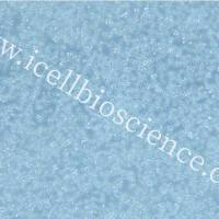 Z-138 |Z-138细胞|Z138|Z138细胞|Z138人套细胞淋巴瘤细胞/STR鉴定/镜像绮点(Cellverse)