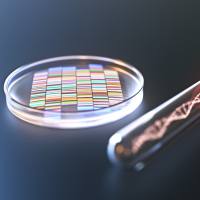 Poly40000 转染试剂