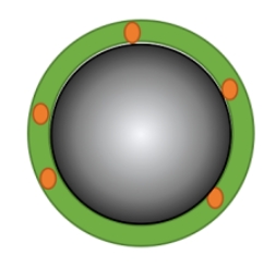 超顺磁性Fe3o4四氧化三铁长循环脂质体