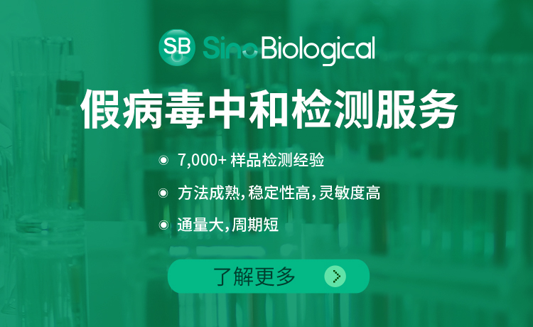 假病毒真本领，助力疫苗开发、病毒学研究、中和抗体筛选