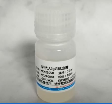 驴抗人IgG血清