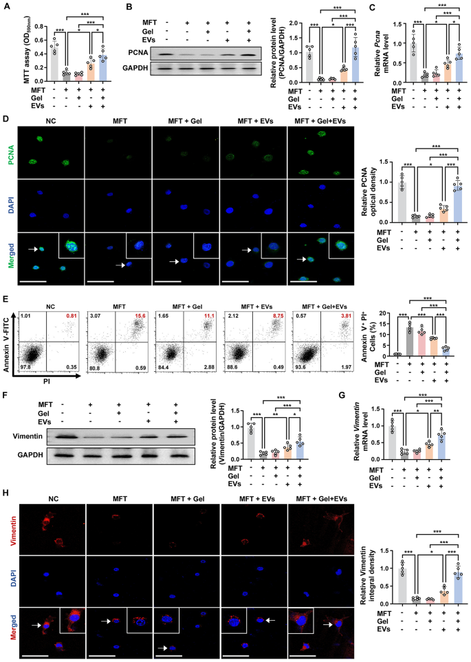 外泌体检测 外泌体检测