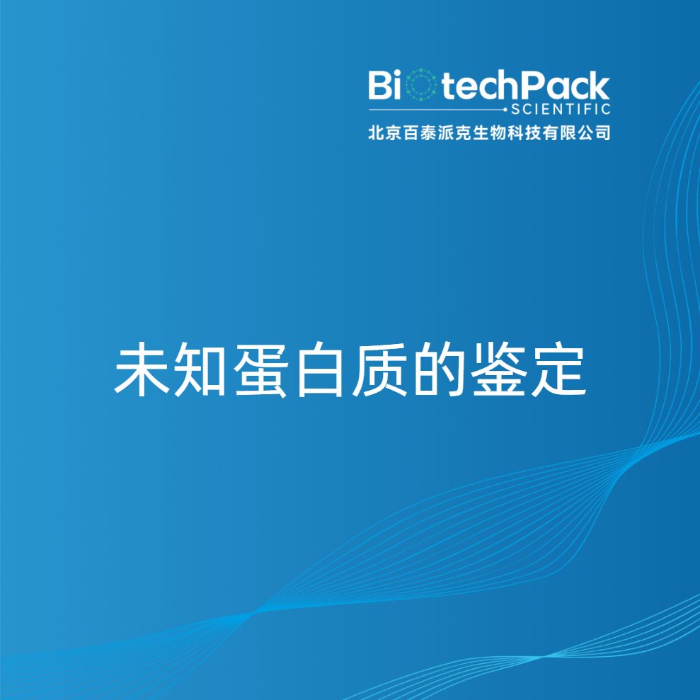 未知蛋白质的鉴定
