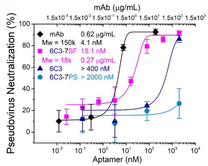 假病毒真本领，助力疫苗开发、病毒学研究、中和抗体筛选