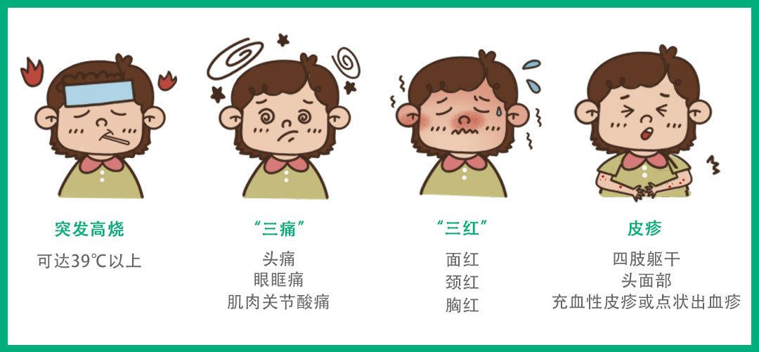 不见面也能传染！堪比断骨痛！登革病毒究竟是什么？