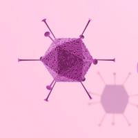 光遗传、化学遗传AAV现货-可试用