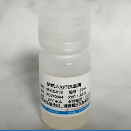 驴抗人IgG血清