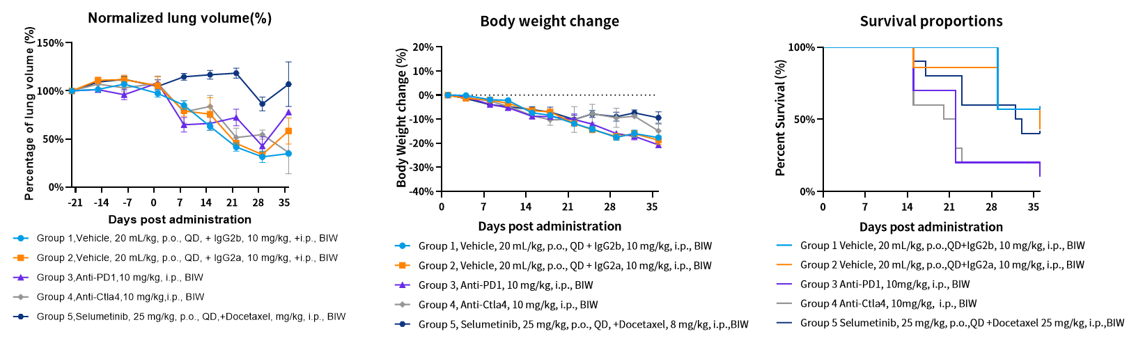 基因修饰原发肿瘤小鼠模型,为您的科研一键加速