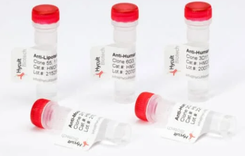 抗大鼠L-Afadin单克隆抗体火热促销中