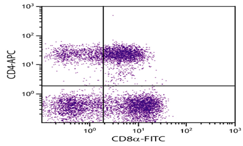 Mouse Anti-Porcine CD4-FITC 抗猪