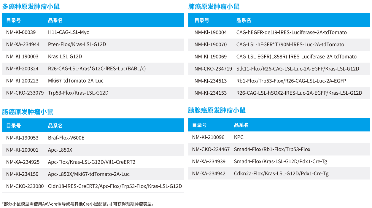 基因修饰原发肿瘤小鼠模型,为您的科研一键加速