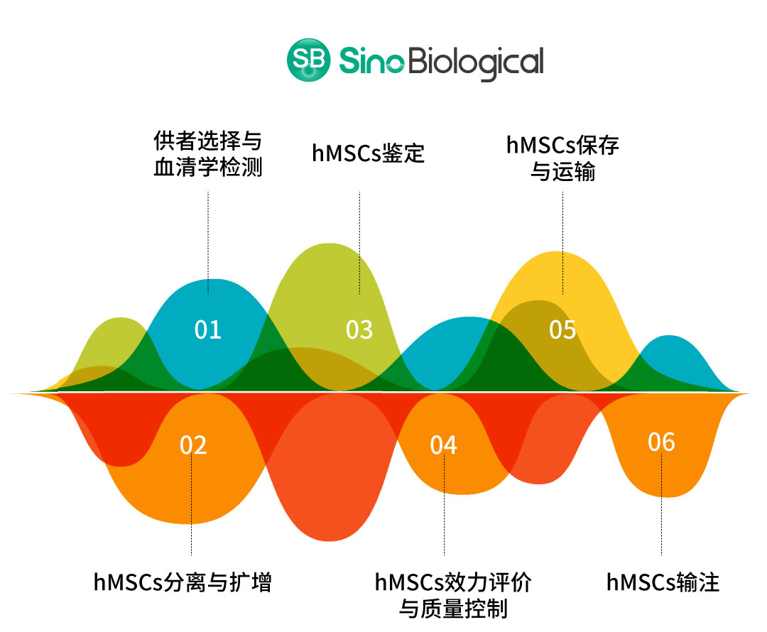 间充质干细胞疗法迎来快速发展：国内新药申请超93项，全球临床试验超1300项
