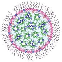 负载阿霉素(DOX)和siRNA的LNP纳米粒