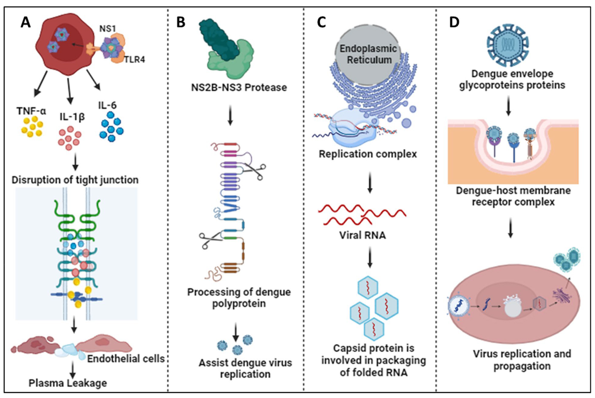 不见面也能传染！堪比断骨痛！登革病毒究竟是什么？