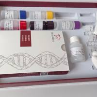 Fructus perillae紫苏子PCR鉴定试剂盒