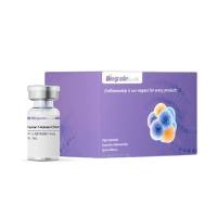 牛血清白蛋白，BSA粉末Bovine Serum Albumin/BSA