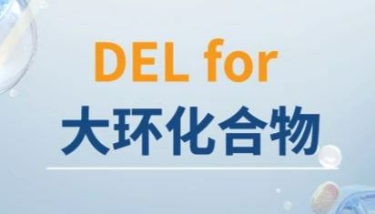 DEL for大环化合物