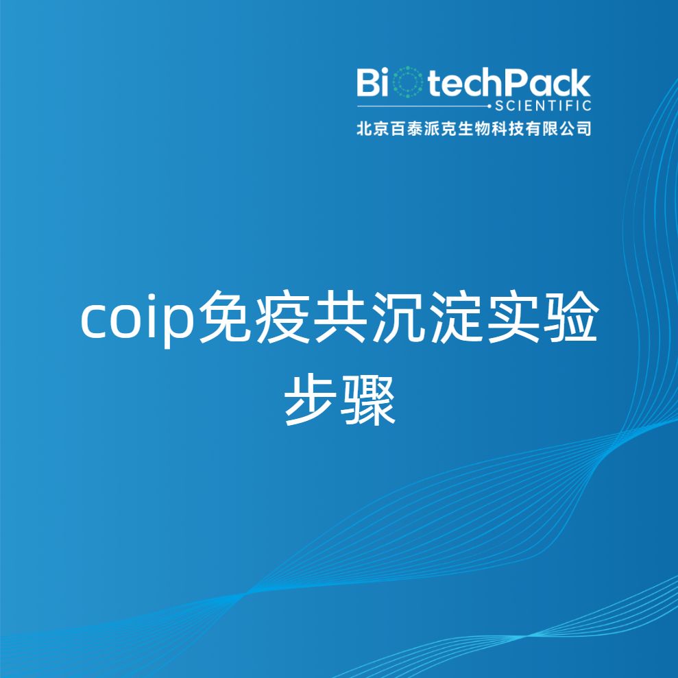 coip免疫共沉淀实验步骤