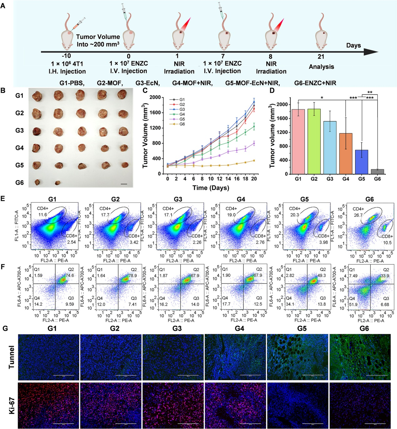 外泌体技术服务 外泌体技术服务