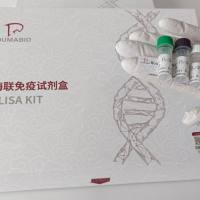 牛糖基化低密度脂蛋白(GLDL)酶联免疫试剂盒