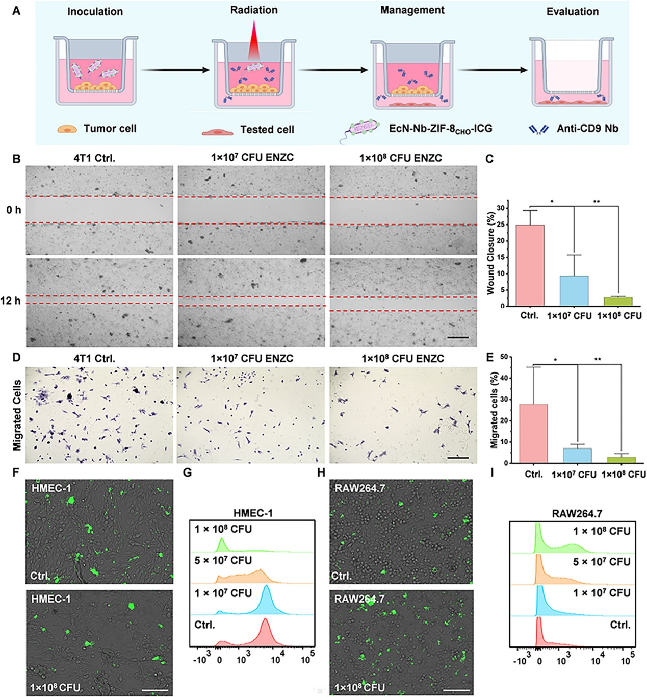外泌体技术服务 外泌体技术服务