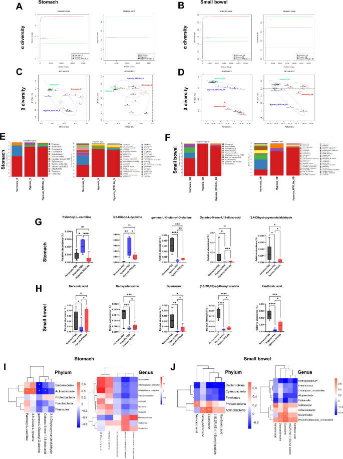 植物外泌体 植物外泌体