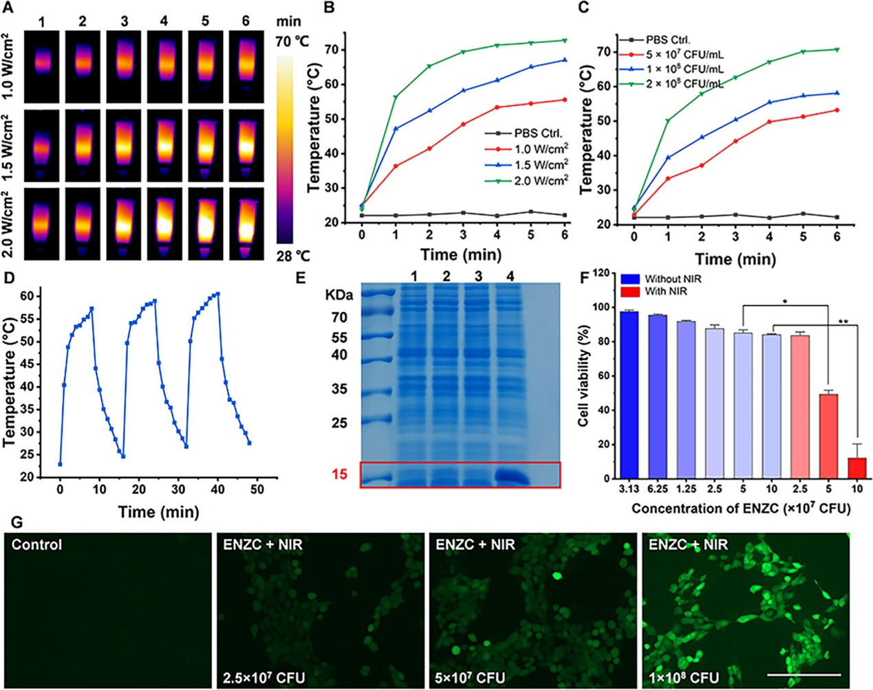 外泌体技术服务 外泌体技术服务