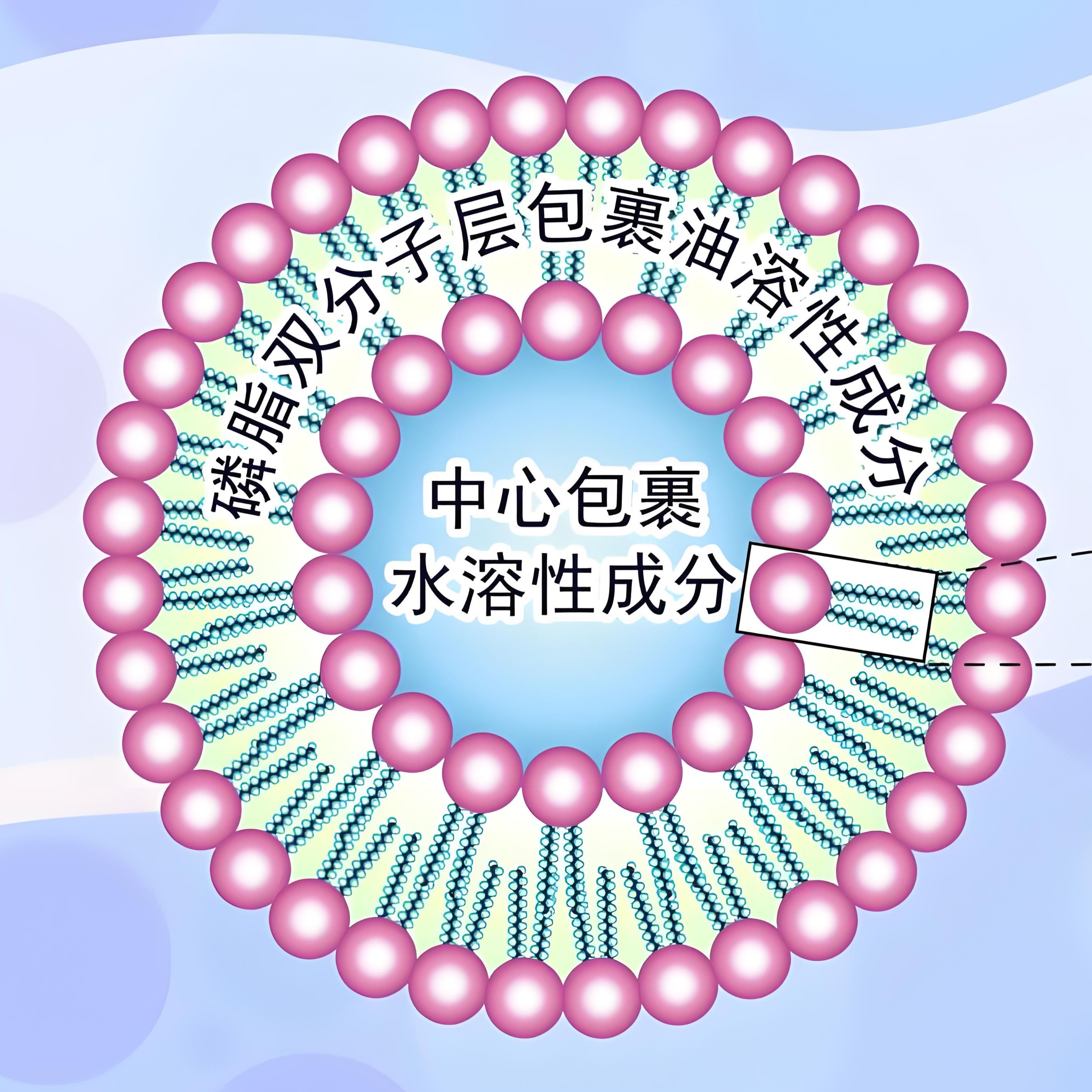 产品封面图