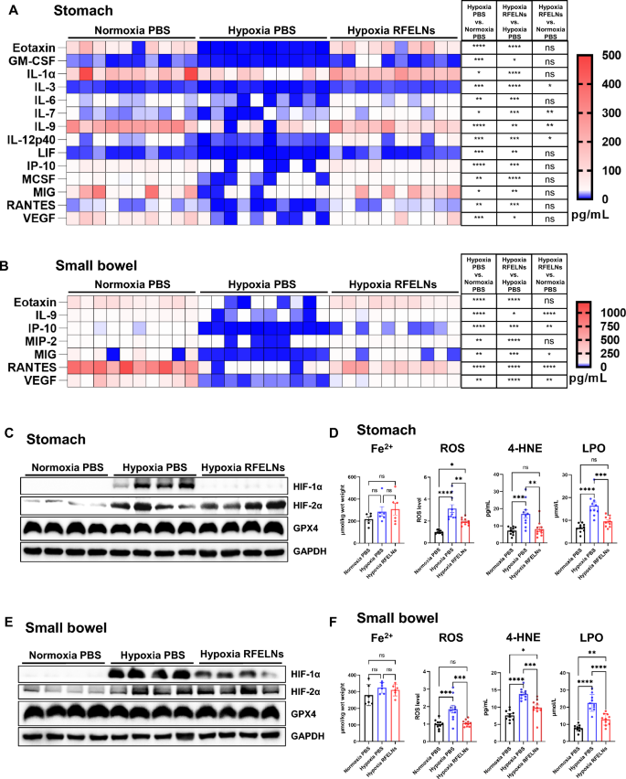 植物外泌体 植物外泌体
