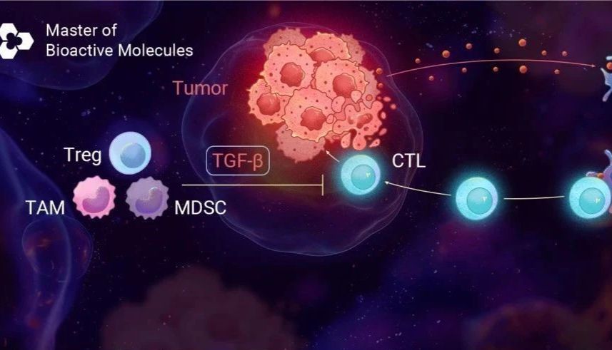 全面解读 (上)：白介素家族大盘点 ！如何塑造我们的免疫反应？ | MedChemExpress (MCE)